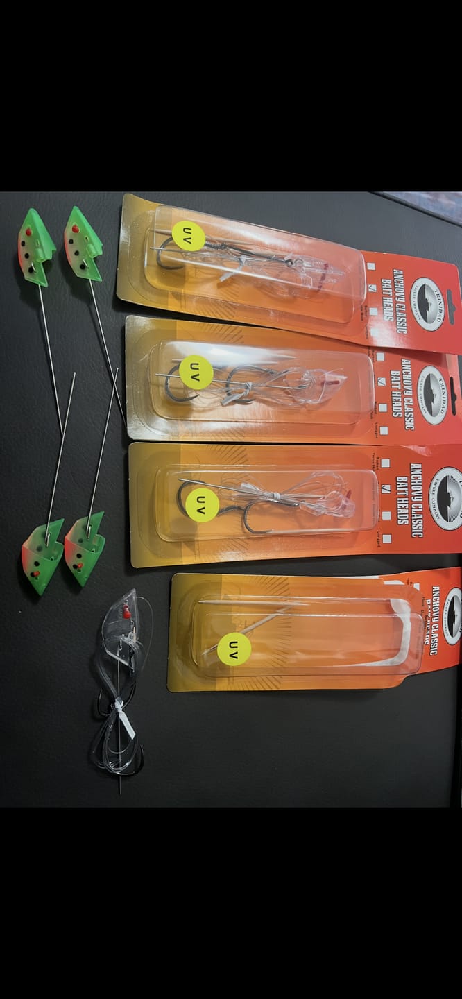 Customer photo review of Anchovy Bait Head – 2 Pack