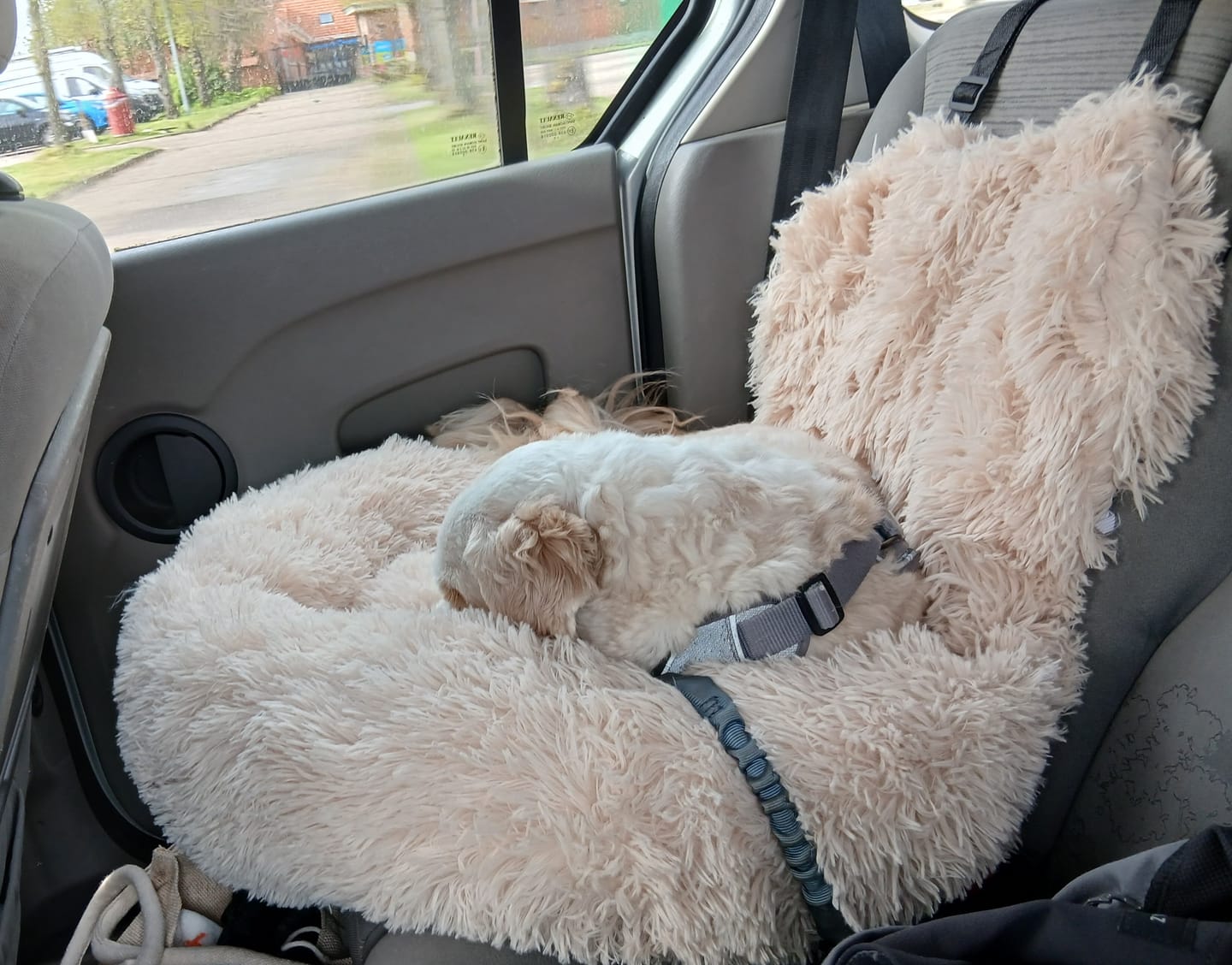 Customer photo review of Fluffy Autostoel (2-in-1)