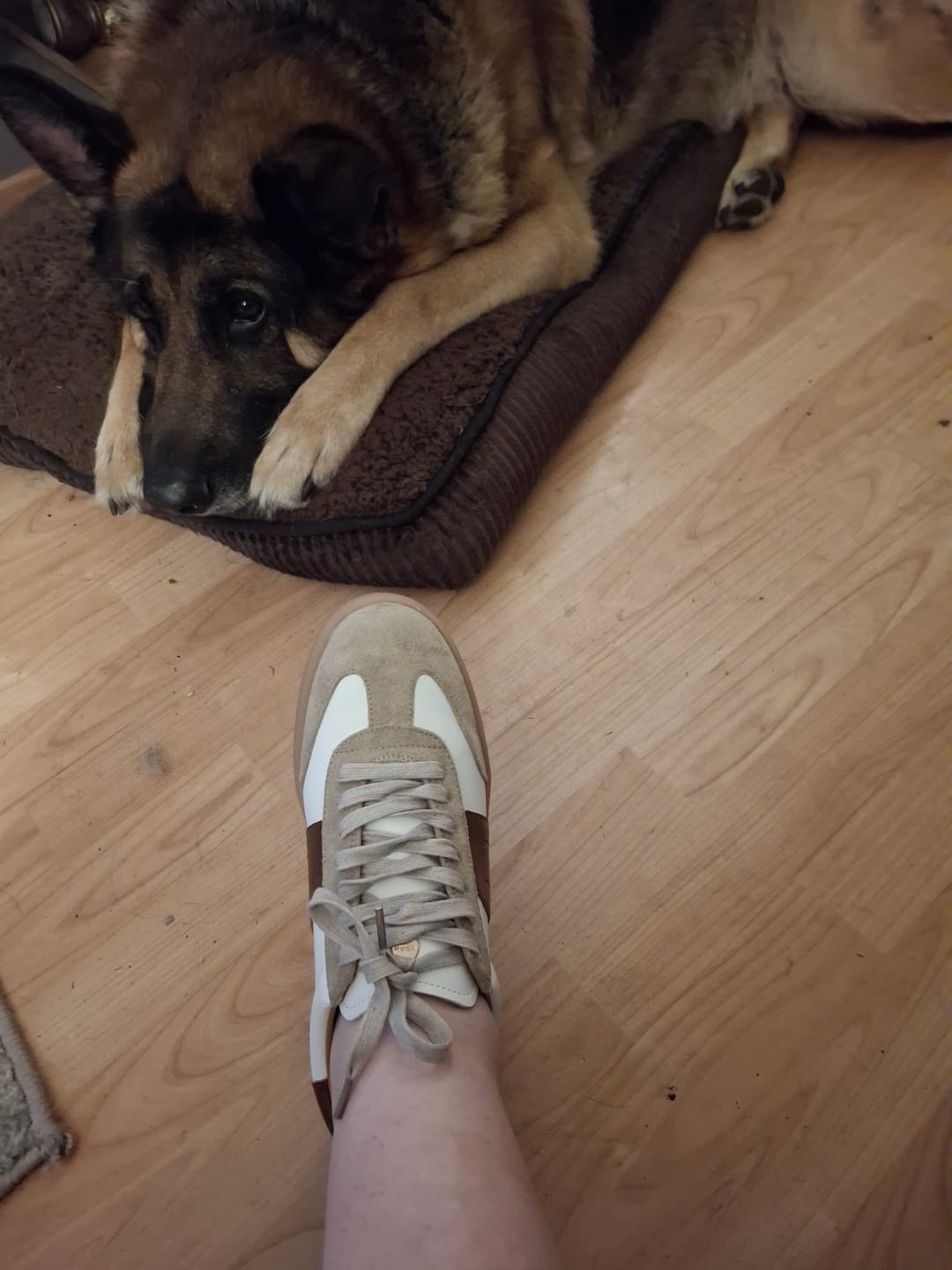 Customer photo review of Stem Leisure Trainers