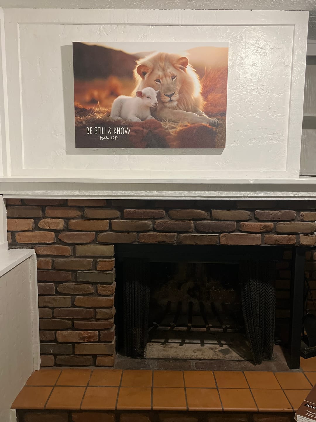 Customer photo review of Lion and Lamb, Be Still and Know Psalm 46:10, Wall Art Canvas Print