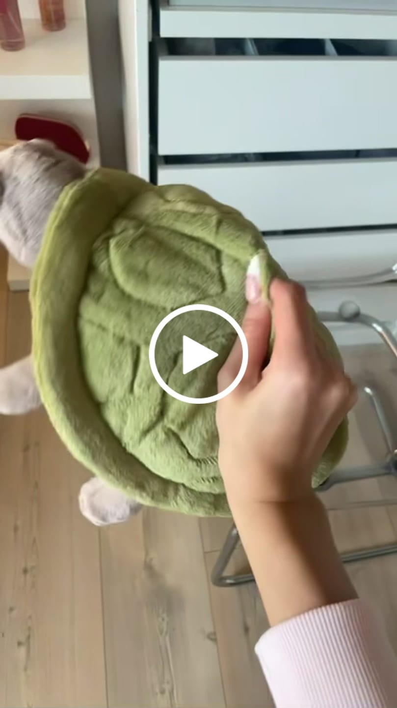Customer video review of Timmy Turtle | Jellycat