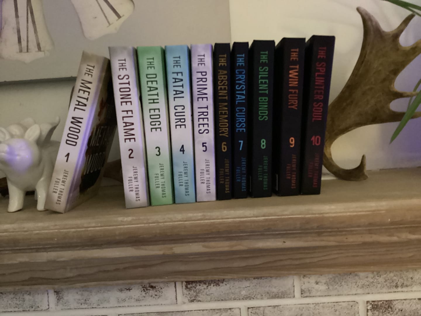 Customer photo review of The Metalwood Saga (10 book adult science fantasy bundle)