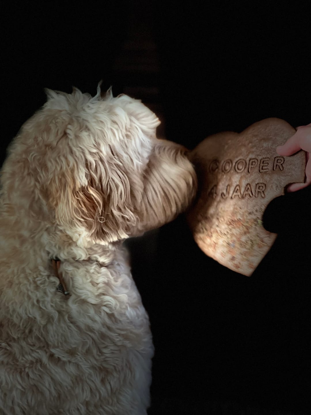 Customer photo review of Mega koek voor de verjaardag van jouw hond