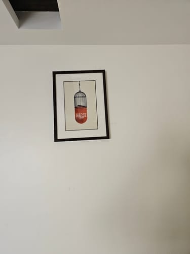 Customer photo review of One Flew Over the Cuckoo's Nest (1975) Movie Poster Art