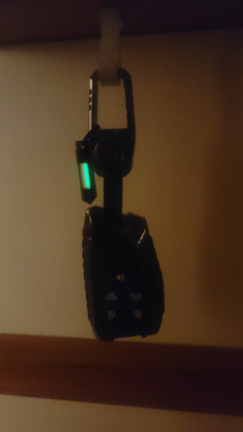 Customer photo review of Tritium Glow Fob