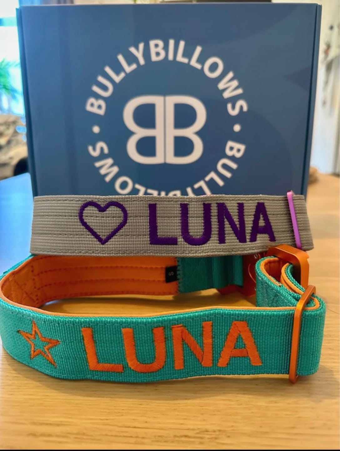 Customer photo review of 4cm LIGHTER Combat® Collar | With Handle Rated Clip - Turquoise & Orange