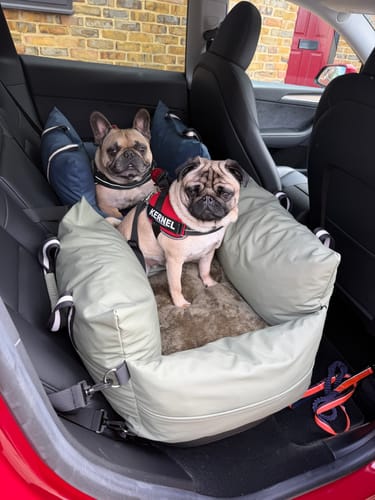 Customer photo review of The Dog Dock V2 New & Improved with ISO Fix