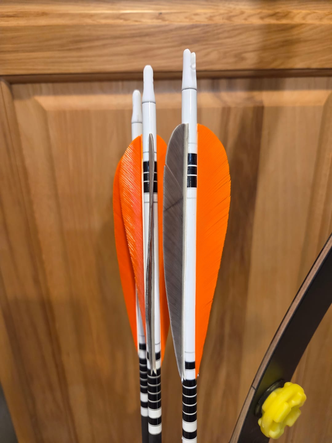 Customer photo review of Trueflight Feather CLEARANCE SALE, 36 pk