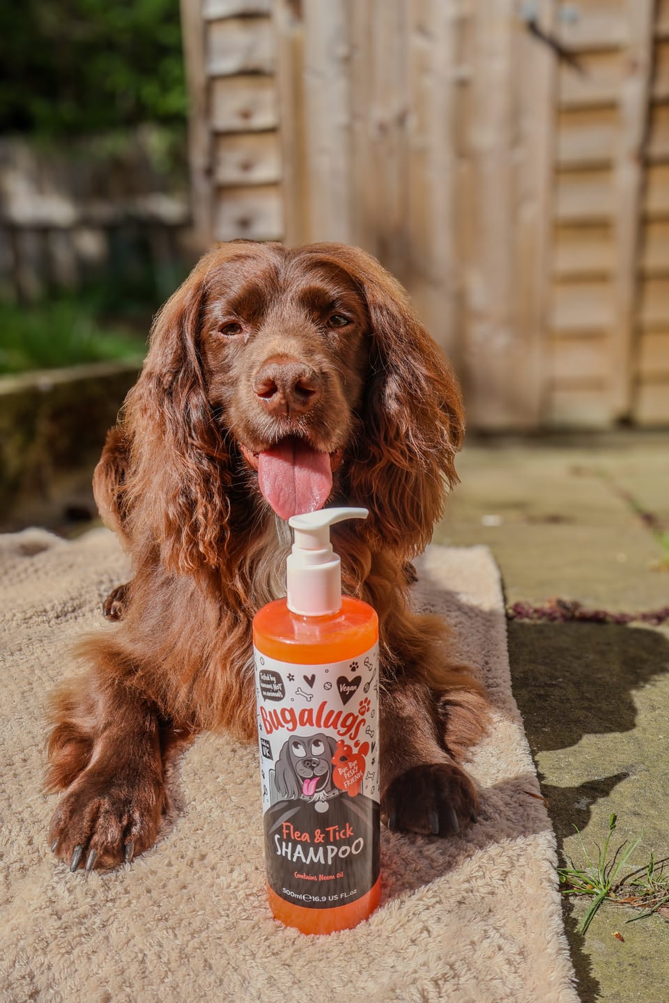 Customer photo review of Flea and Tick Dog Shampoo with Neem Oil