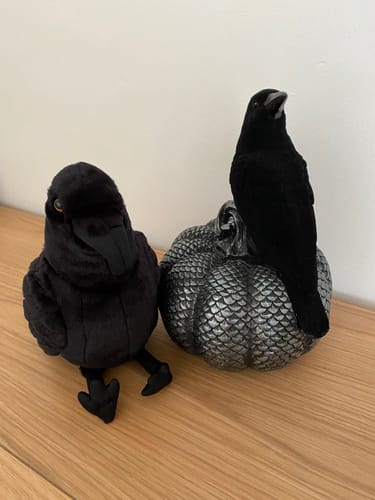 Customer photo review of American Crow Bird Soft Stuffed Plush Toy