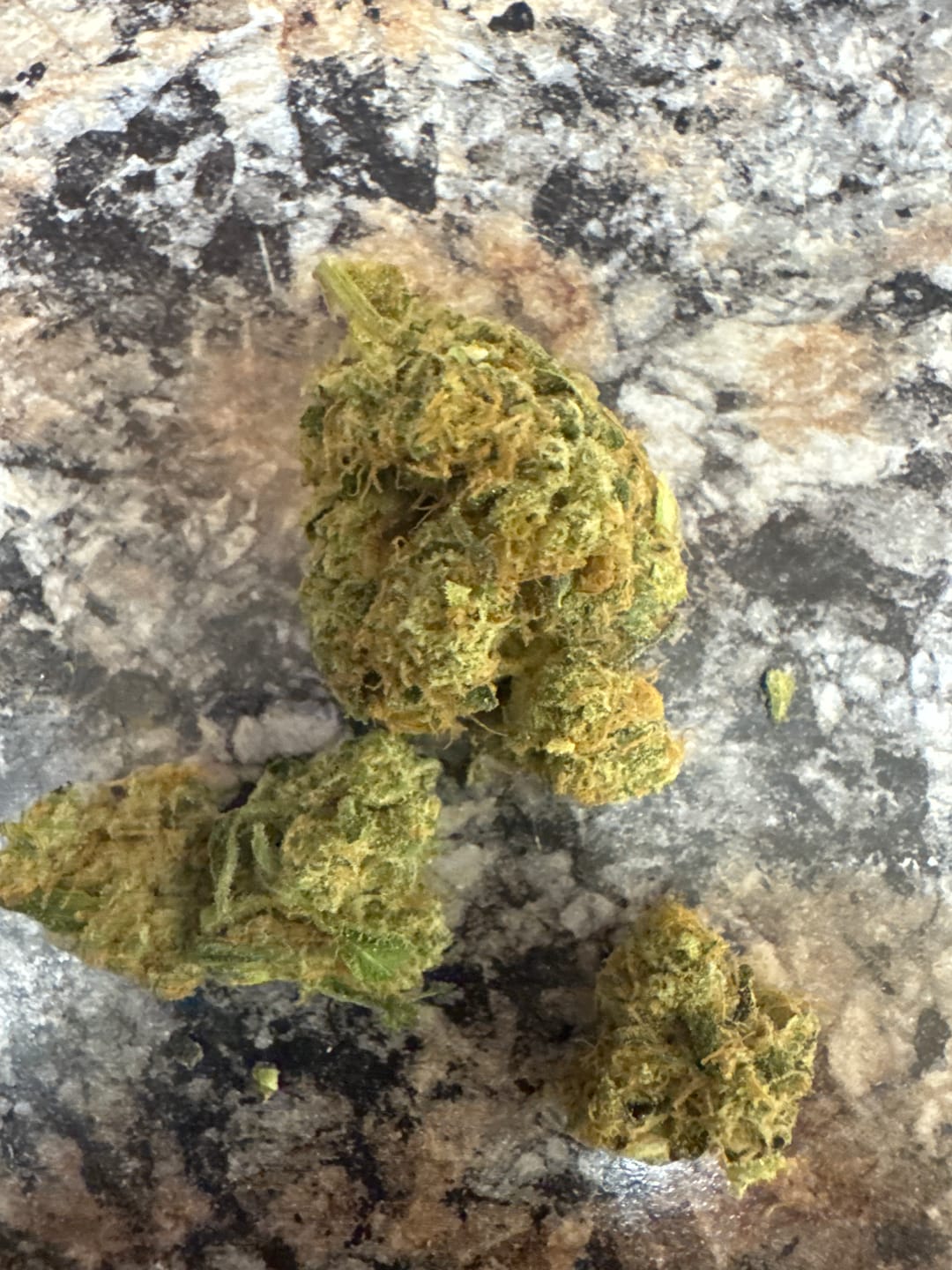 Customer photo review of Rainbow Sherbet - 28 Grams - Hybrid