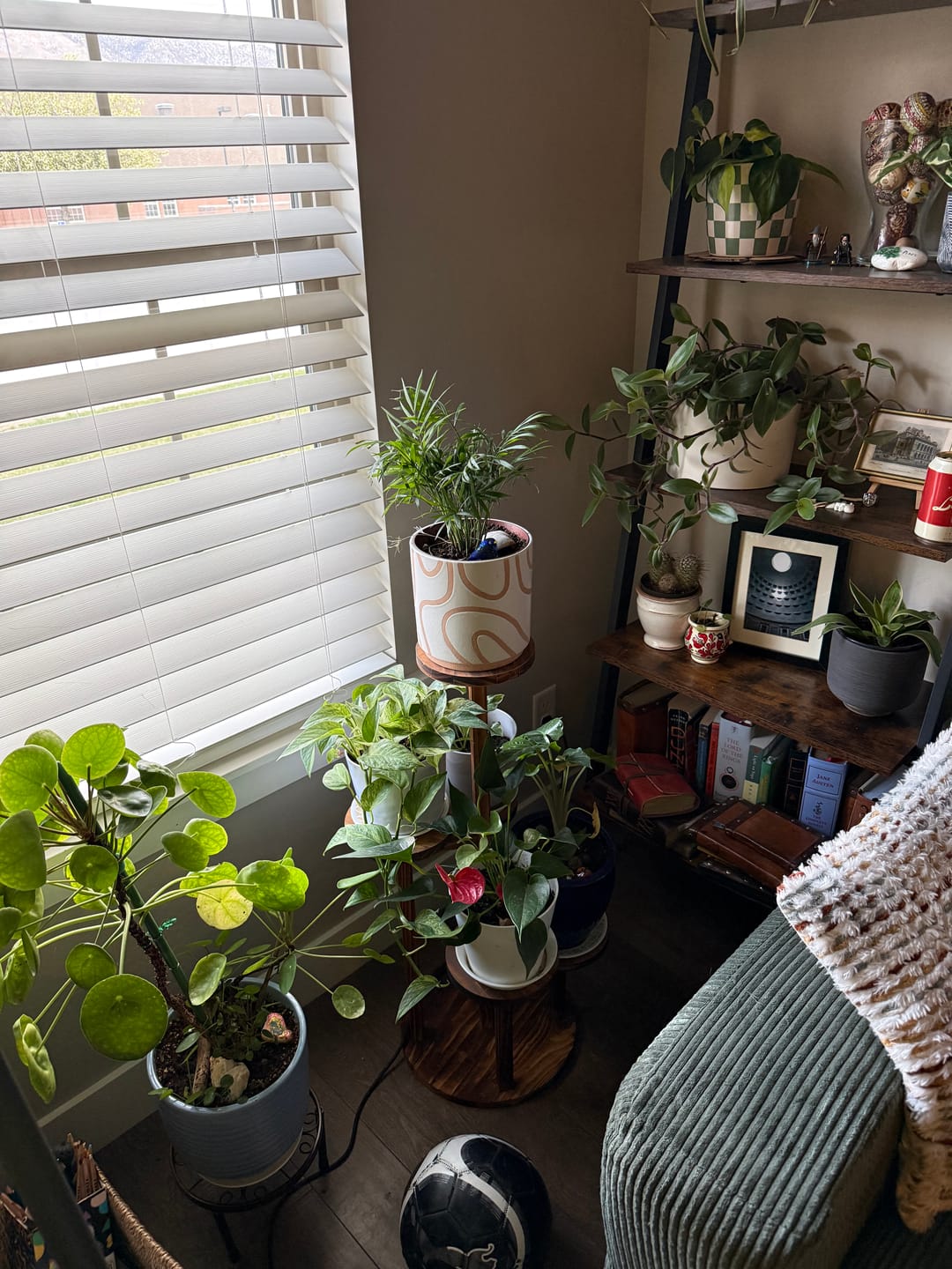 Customer photo review of Hydration Renew