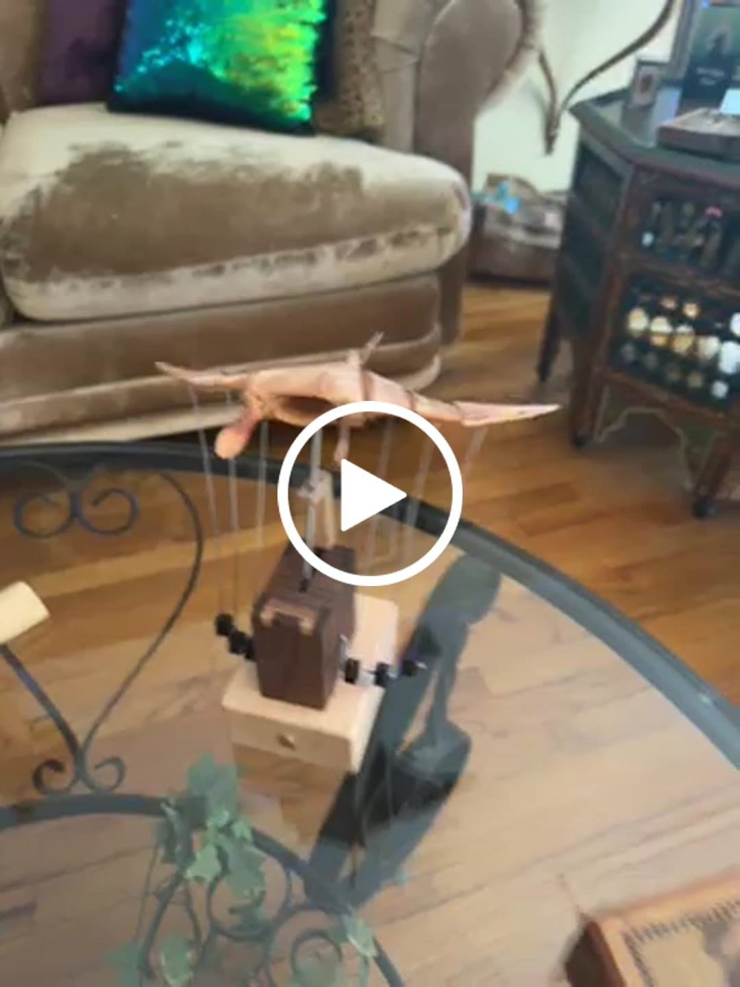 Customer video review of MarinerPoet™ Handcrafted Wooden Manta Ray Automaton