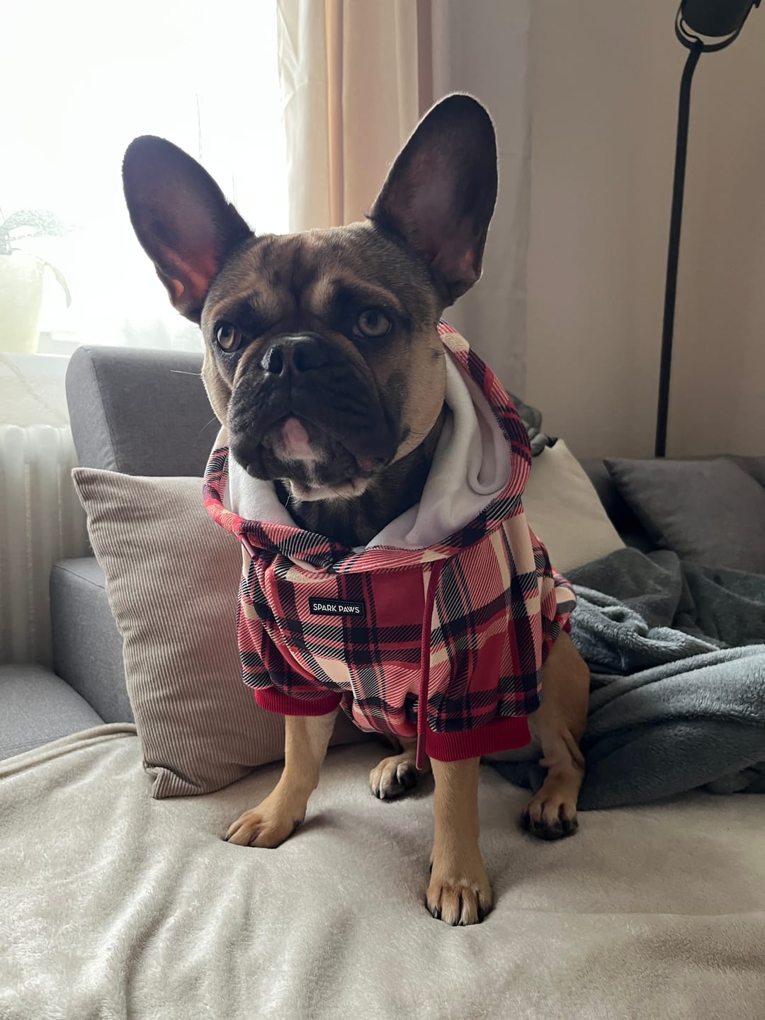 Customer photo review of WarmShield Water-Resistant Jacket - Olive