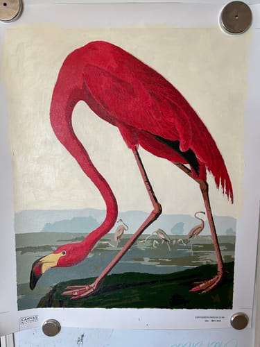 Customer's completed American Flamingo paint-by-numbers artwork, showing a large red flamingo by the water.