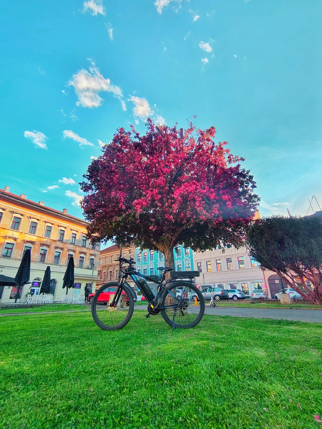 Customer photo review of DUOTTS C29-K Electric Bike