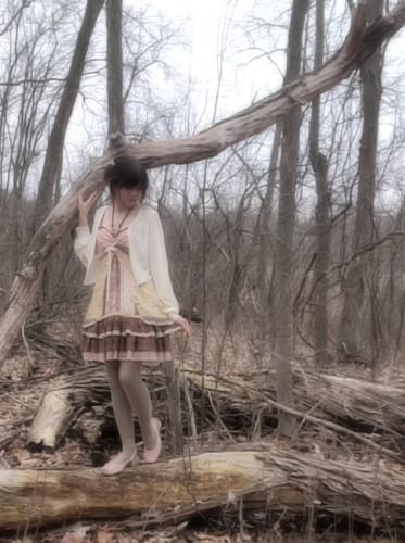 Customer photo review of Rose Island Elf’s Forest Tea Party Fairy Cottage  Dress