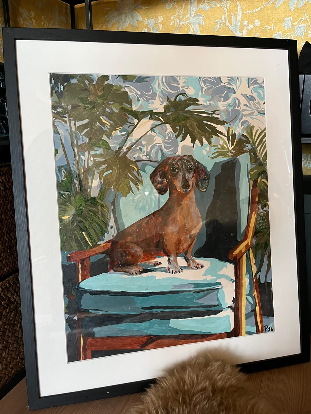 Customer photo review of A posing Dachshund | Paint by Number