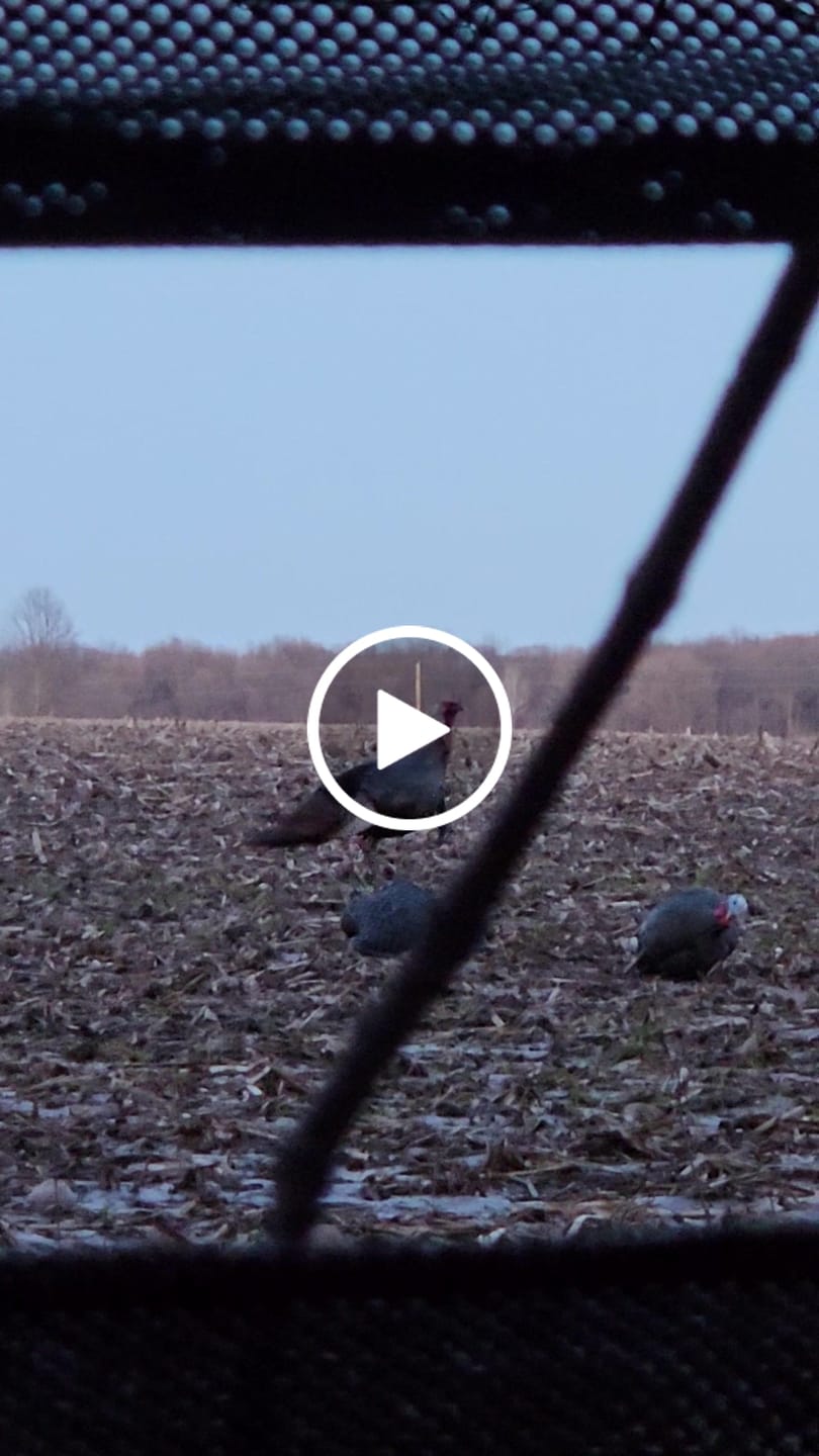 Customer video review of VisST 270° See Through Ground Blinds | Pop Up Portable Blinds for 2 3 Person Deer Hunting with Silent Magnetic Door