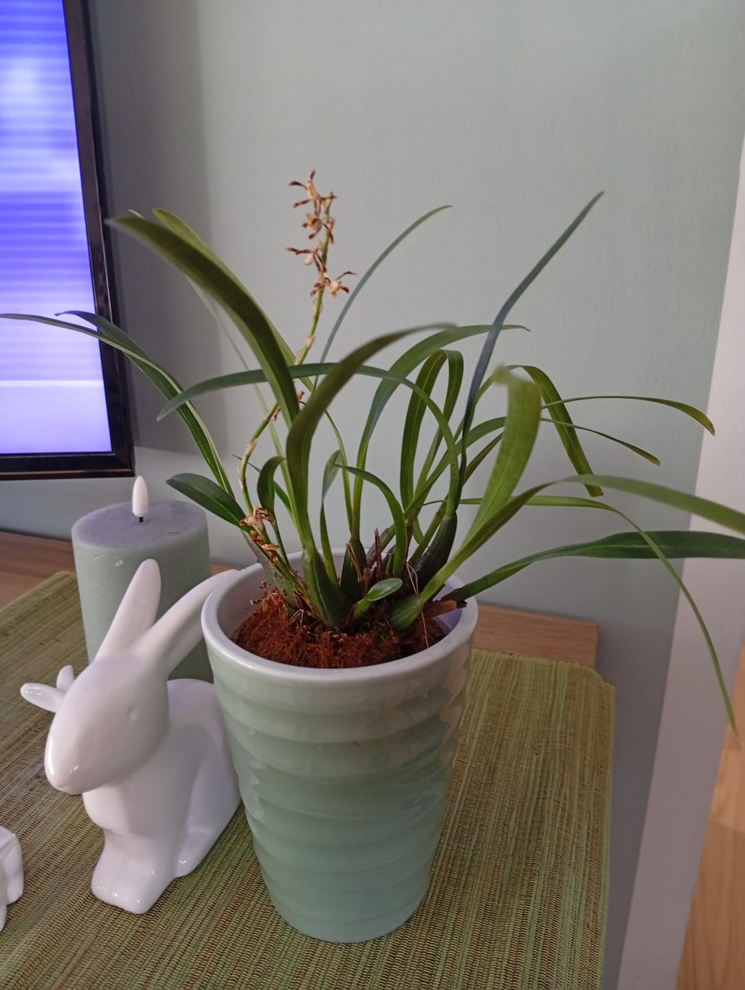 Customer photo review of Übertopf Wave Vase in verschiedenen Farben (9cm Töpfe)