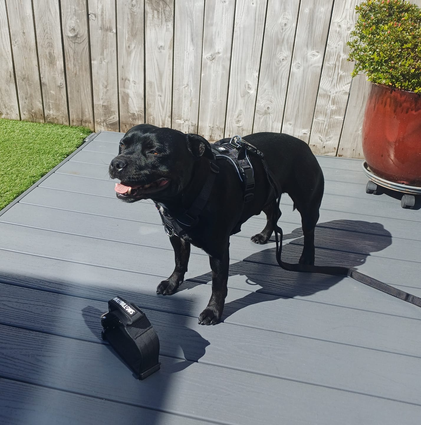 Customer photo review of Anti Pull Hurricane Harness Lighter | With Handle - Black