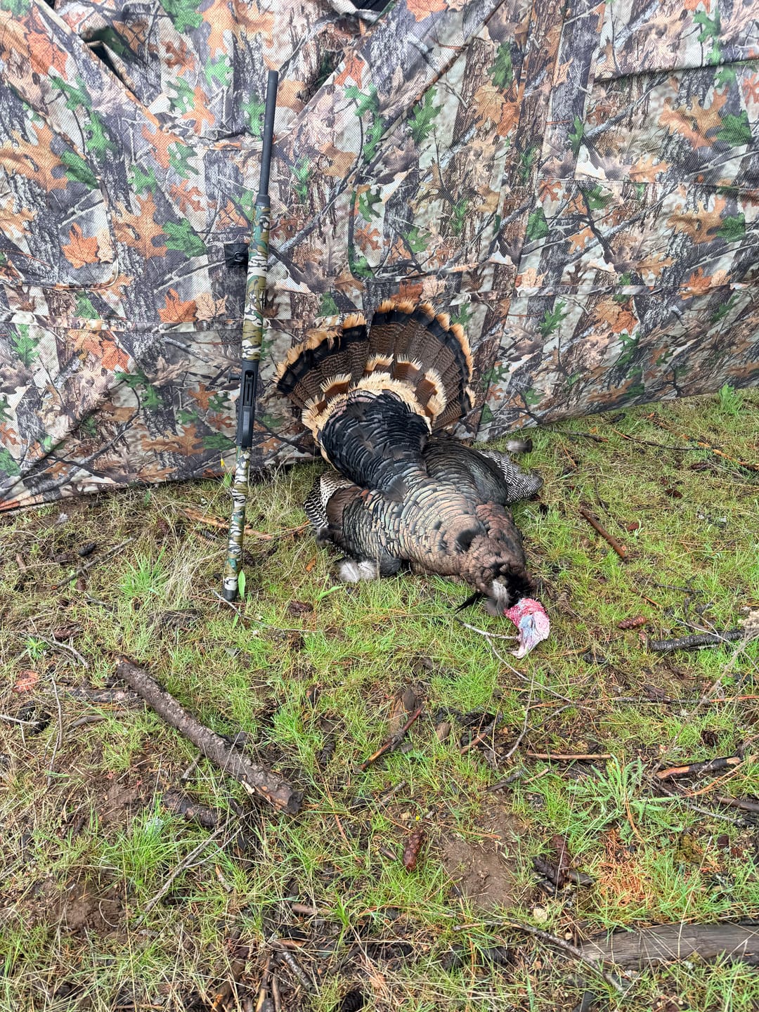 Customer photo review of Vis360 See Through Ground Blind | 360° Camouflage Pop Up Hunting Blind for 2/3/4 Person | Portable Deer Blind with Orange Cover