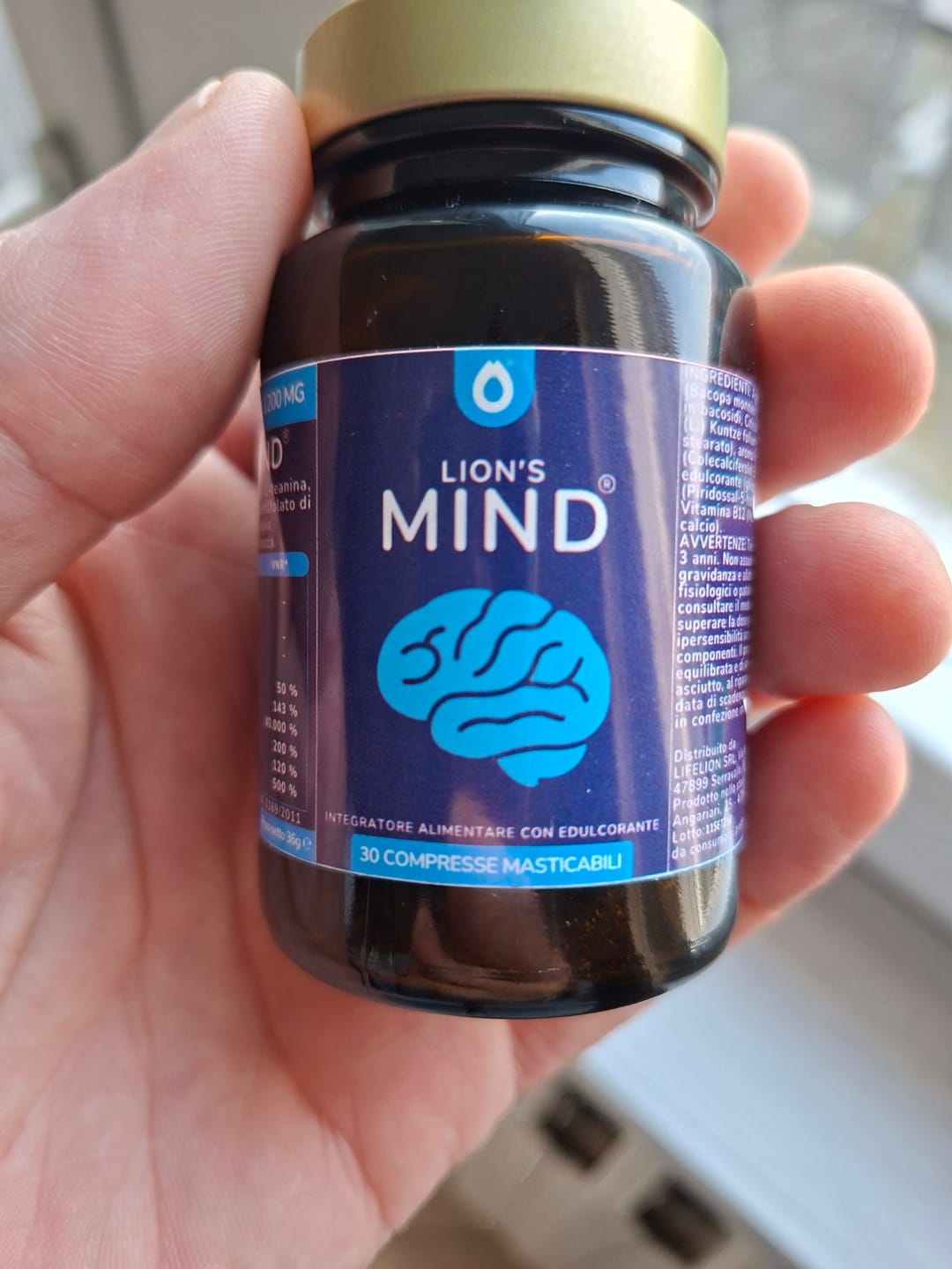 Customer photo review of Lion's Mind
