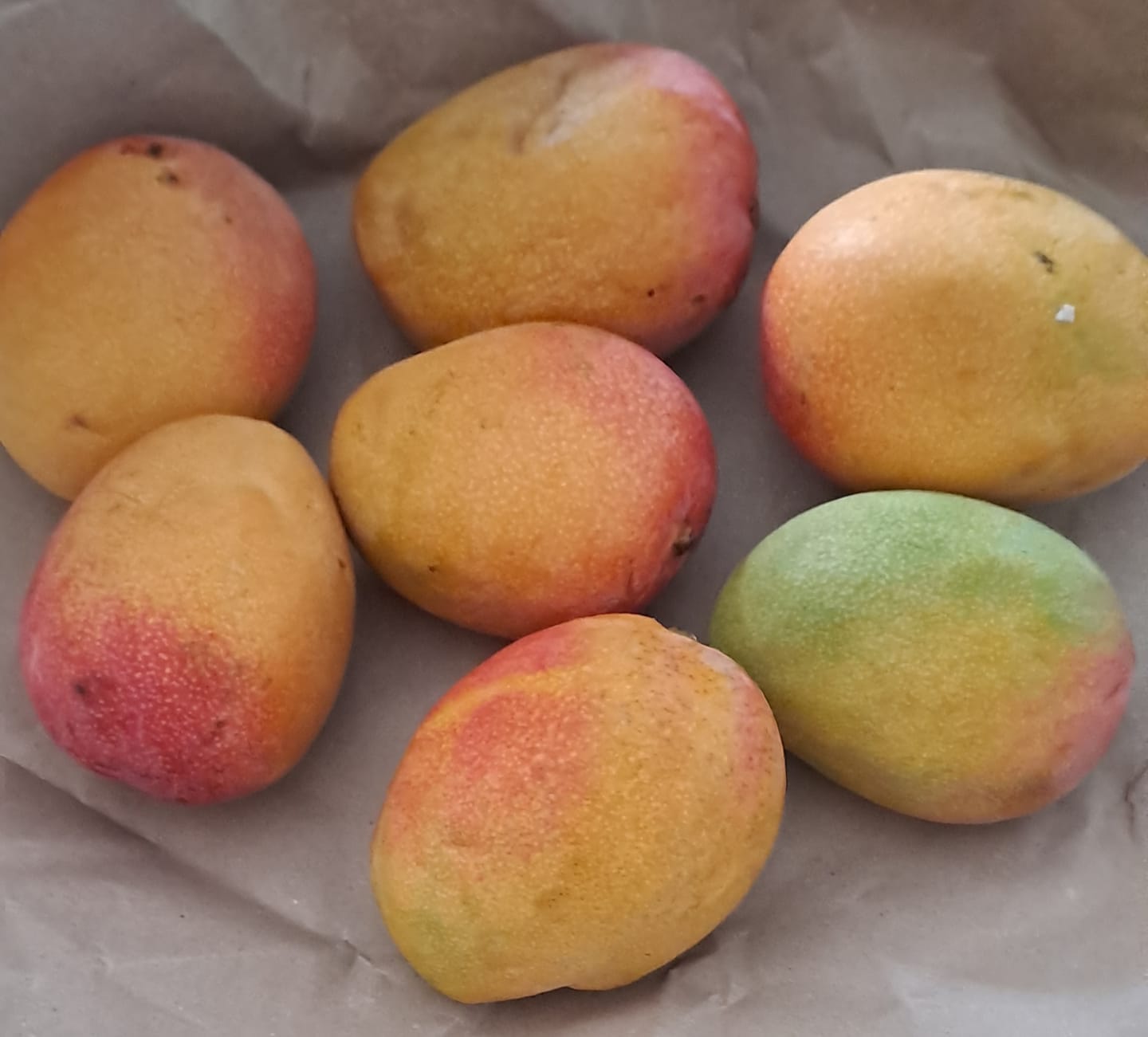 Customer photo review of Mango Haden Bio baumgereift Sonderaktion %