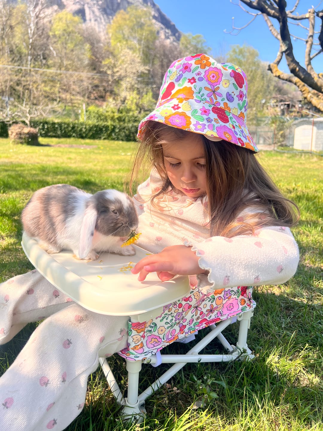 Customer photo review of Paloma baby chair EU