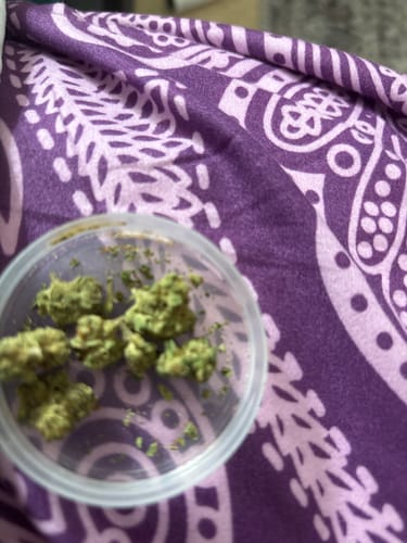 Customer photo review of Citrus Skunk - Minis - 28 Grams - Hybrid