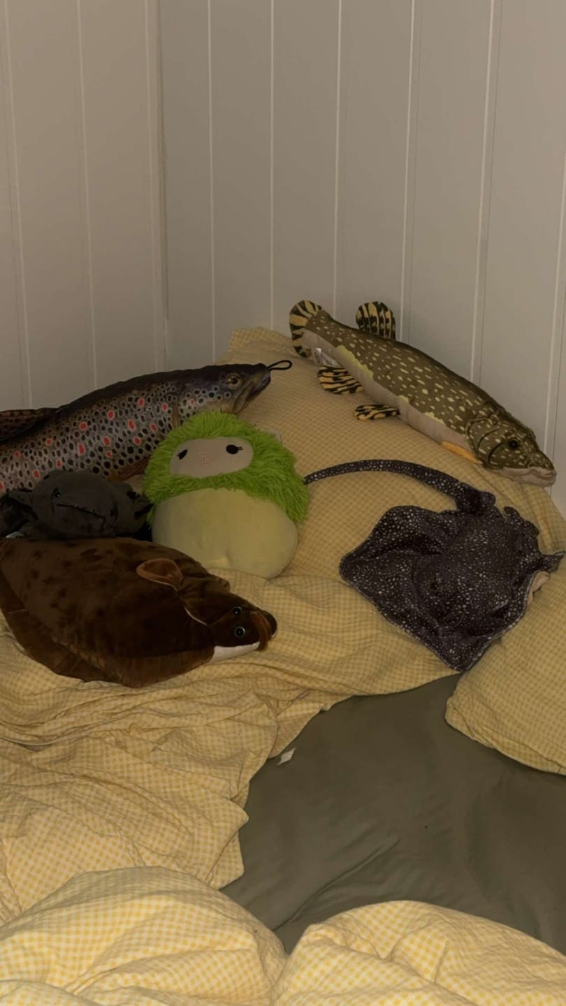 Customer photo review of Flounder Flat Fish Soft Stuffed Plush Toy