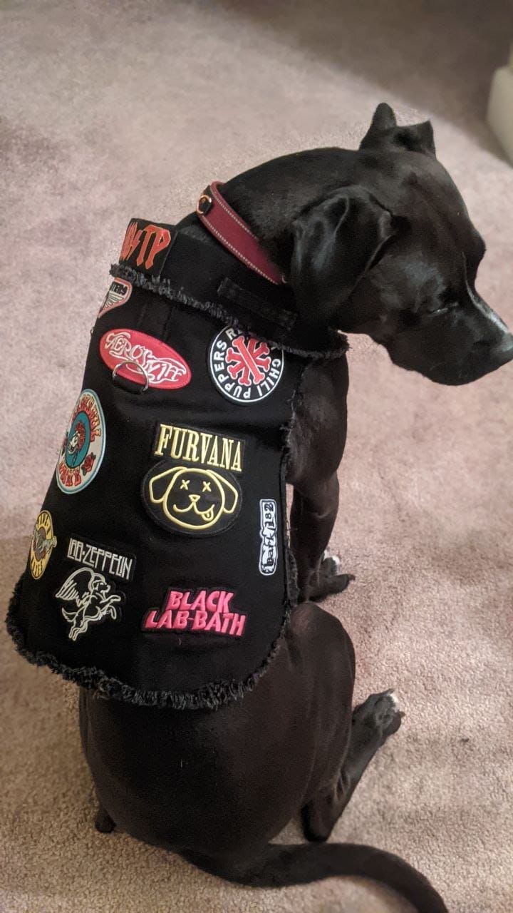 Customer photo review of Ruff and Roll Denim Jacket