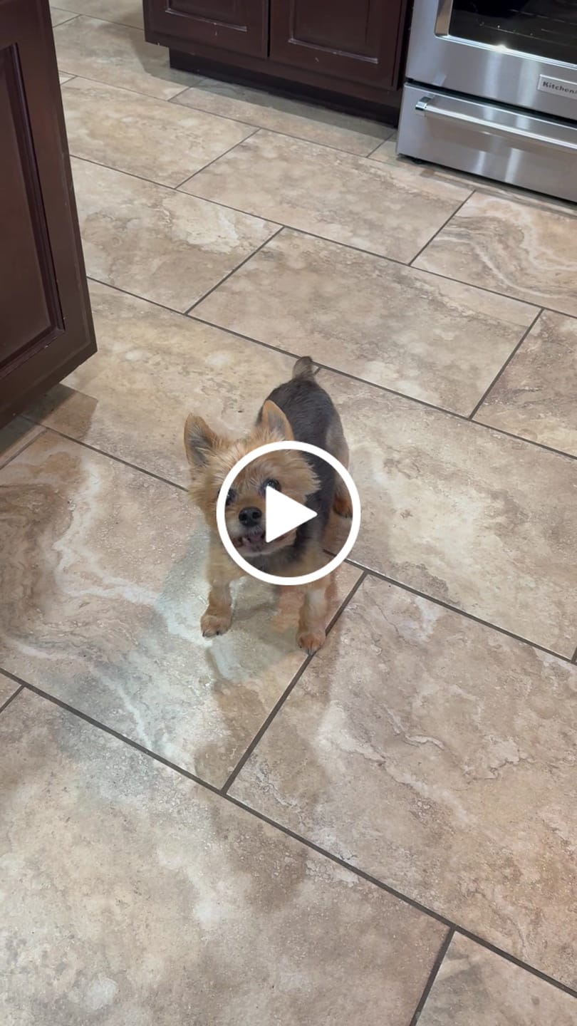Customer video review of Tucker's Gold 1000MG