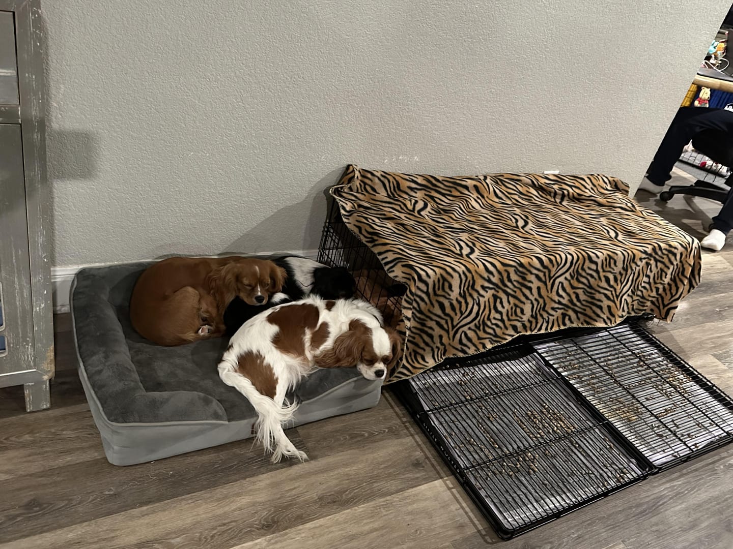 Customer photo review of Little Wolves Potty Tray 22" x 22"