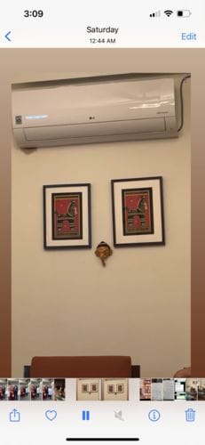 Customer photo review of Dark Horse, Jamini Roy Paintings