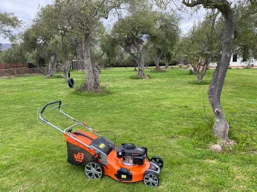 Customer photo review of Cortadora de Pasto 6.5HP Autopropulsada a Bencina van Beek