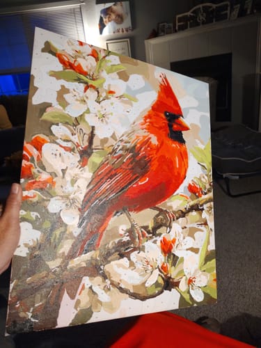 Customer photo review of Cherry Cardinal
