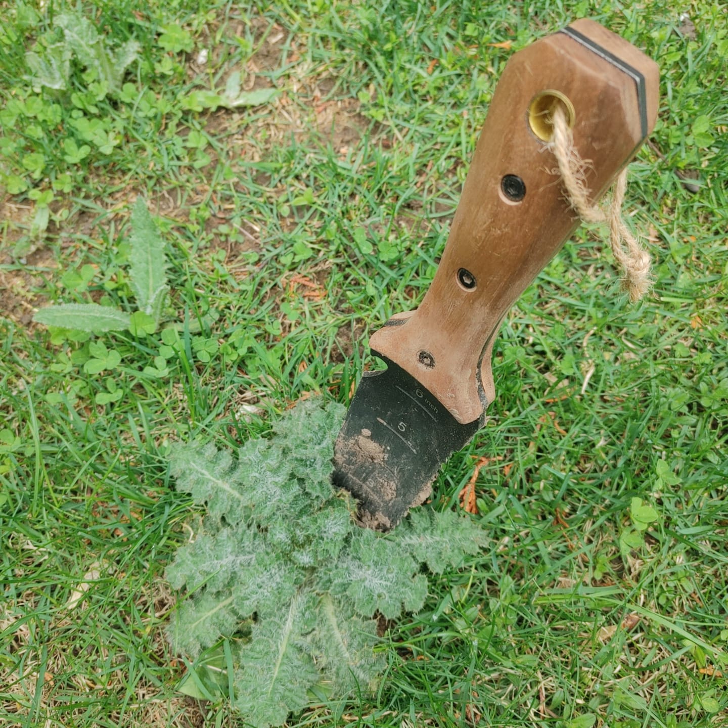 Customer photo review of Hori Hori Garden Knife