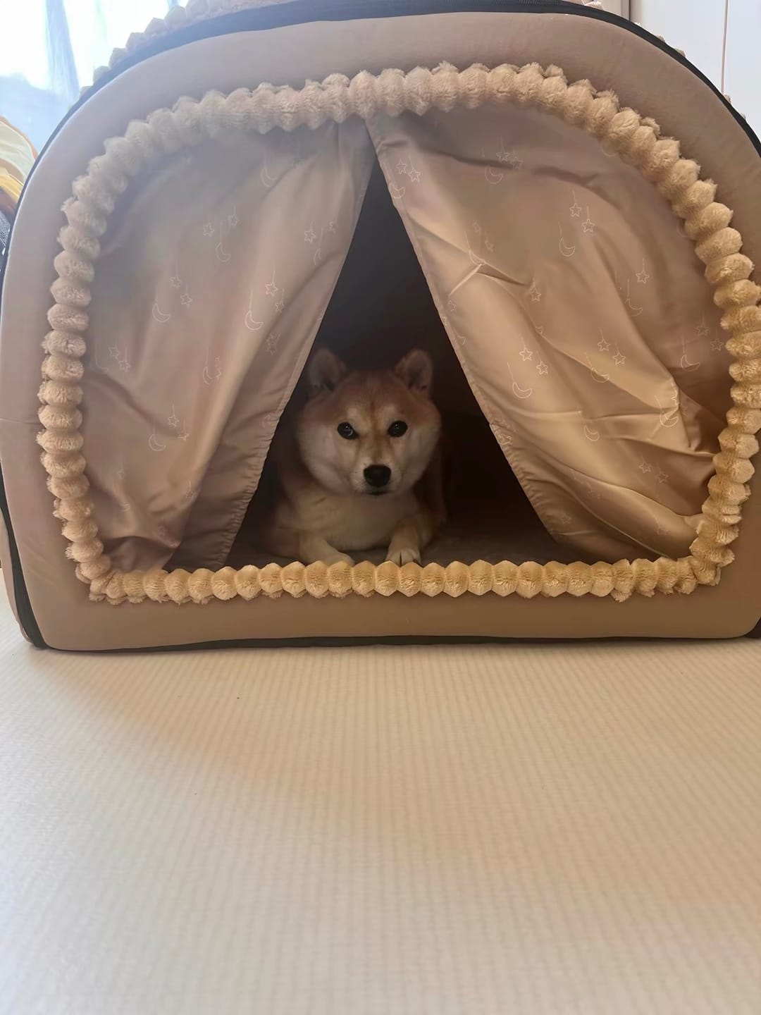 Customer photo review of The Cozy Cottage Pet Bed – A Snug Home for Your Furry Friend