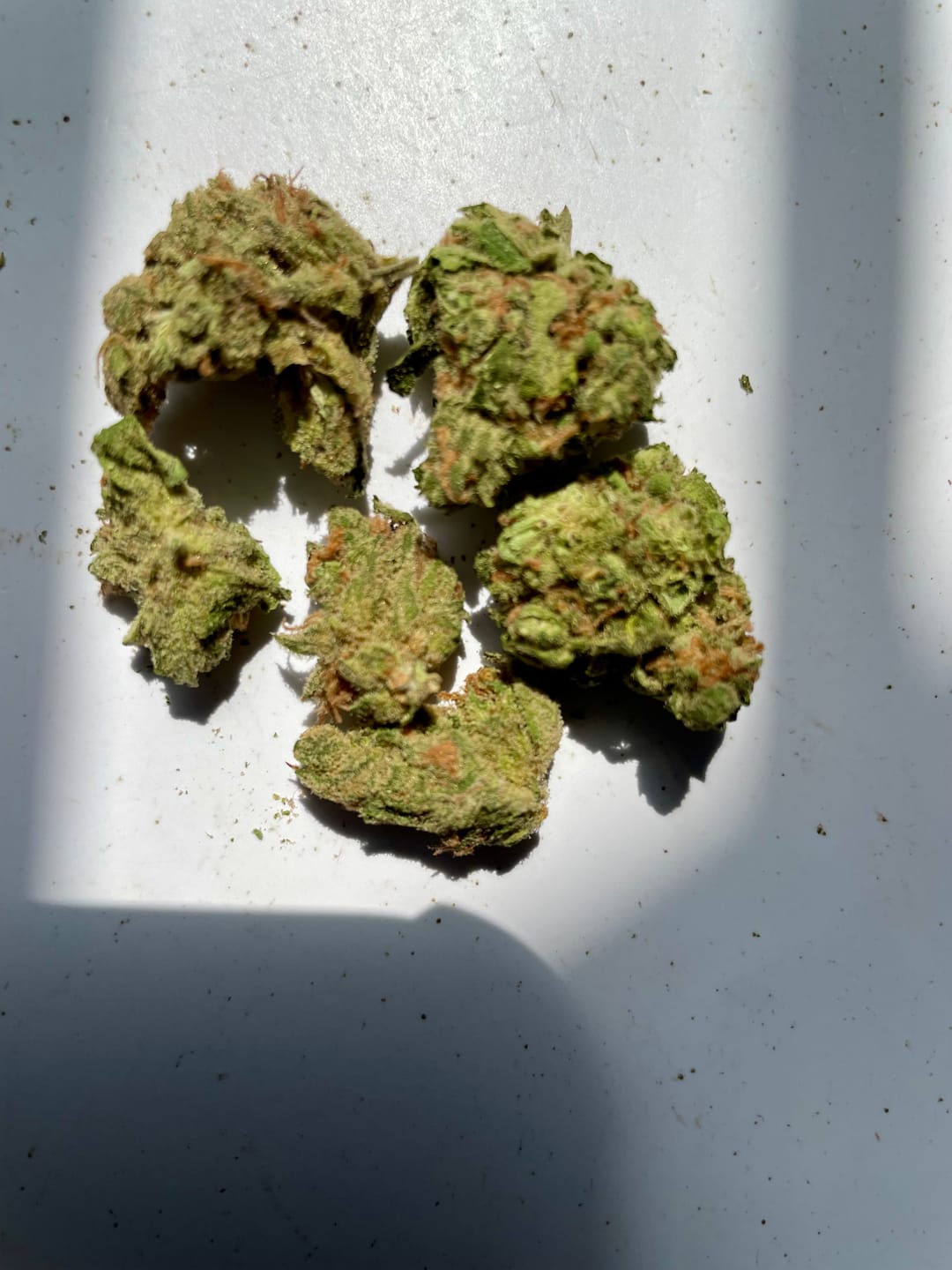 Customer photo review of Blue Dream - 4 Grams - Sativa