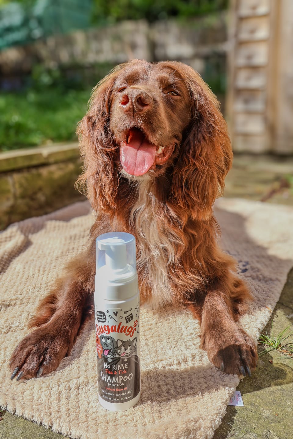 Customer photo review of No Rinse Flea & Tick Shampoo for Dogs