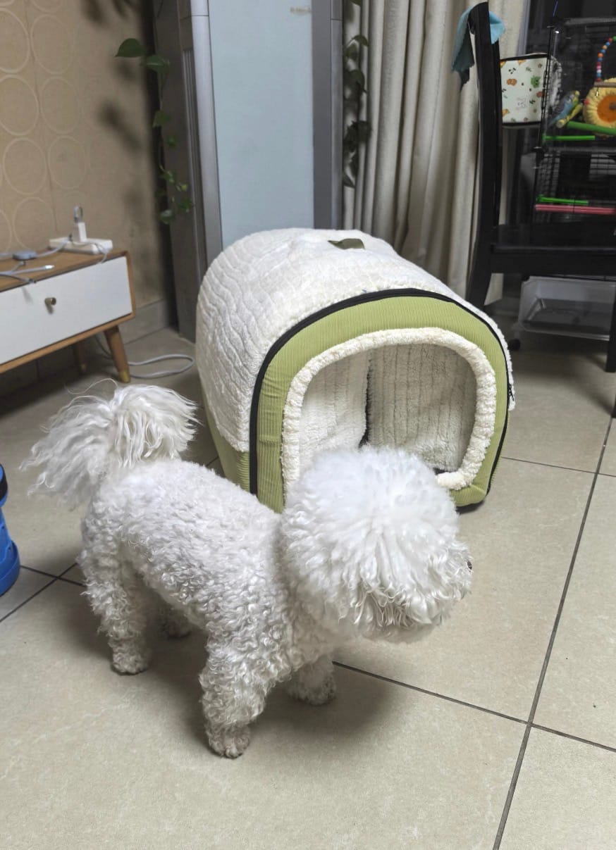Customer photo review of The Cozy Cottage Pet Bed – A Snug Home for Your Furry Friend