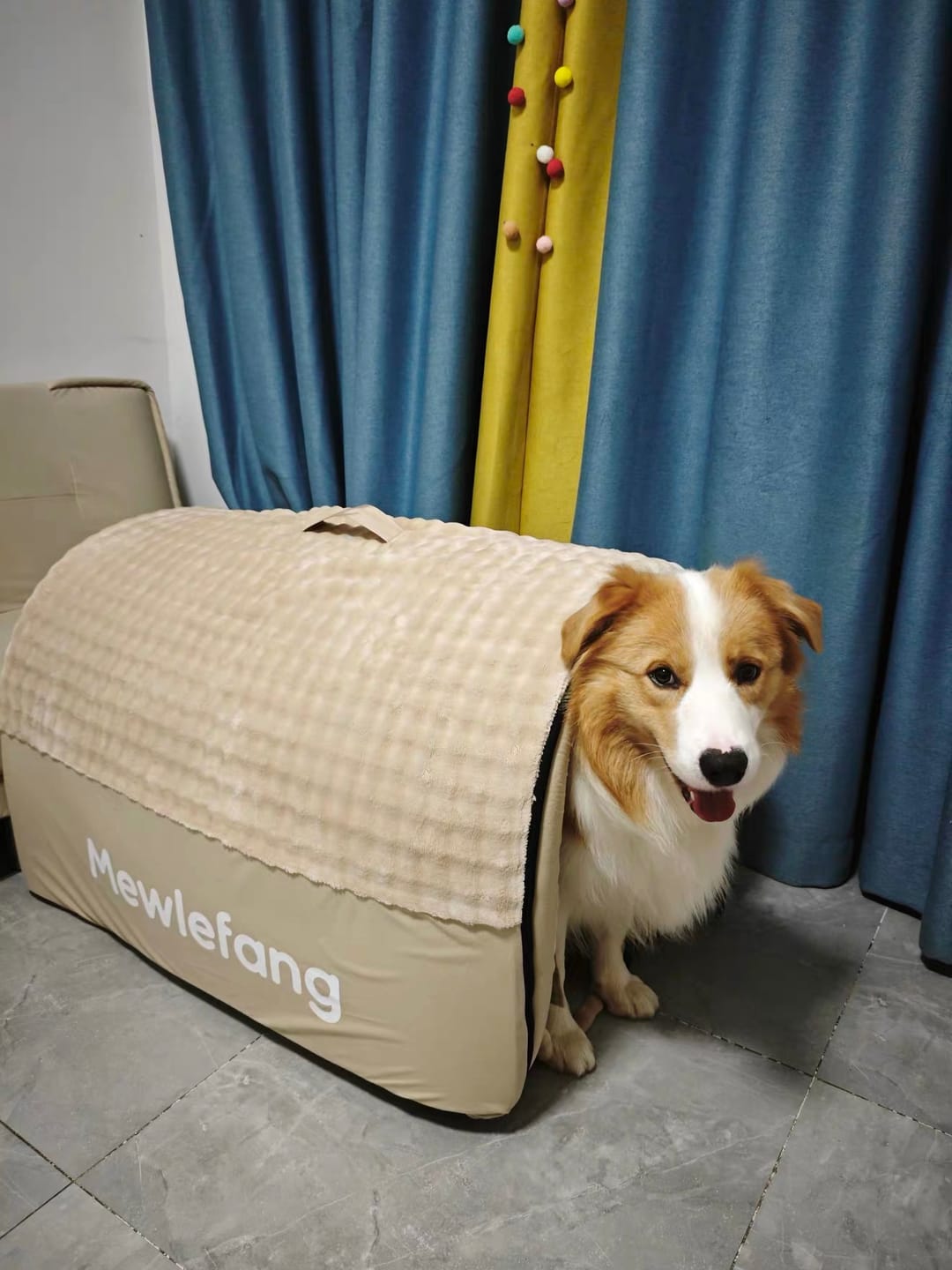 Customer photo review of The Cozy Cottage Pet Bed – A Snug Home for Your Furry Friend