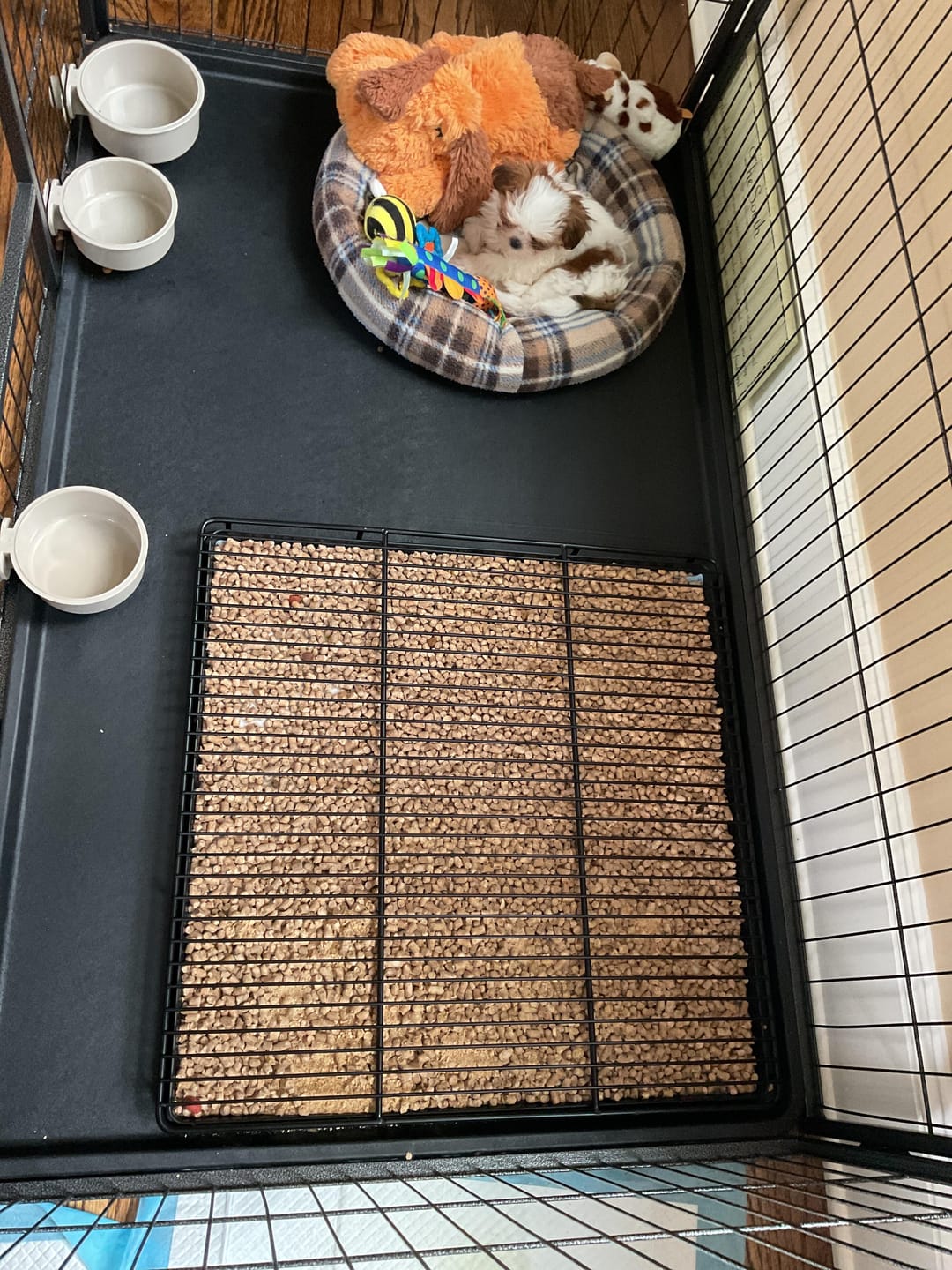 Customer photo review of Little Wolves Potty Tray 22" x 22"