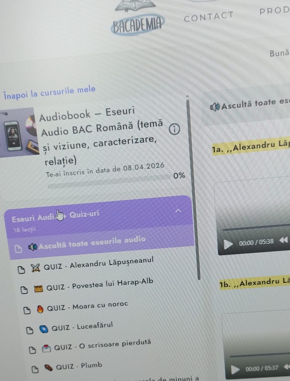Customer photo review of Audiobook – Eseuri Audio BAC Română (temă și viziune, caracterizare, relație) + Quiz-uri