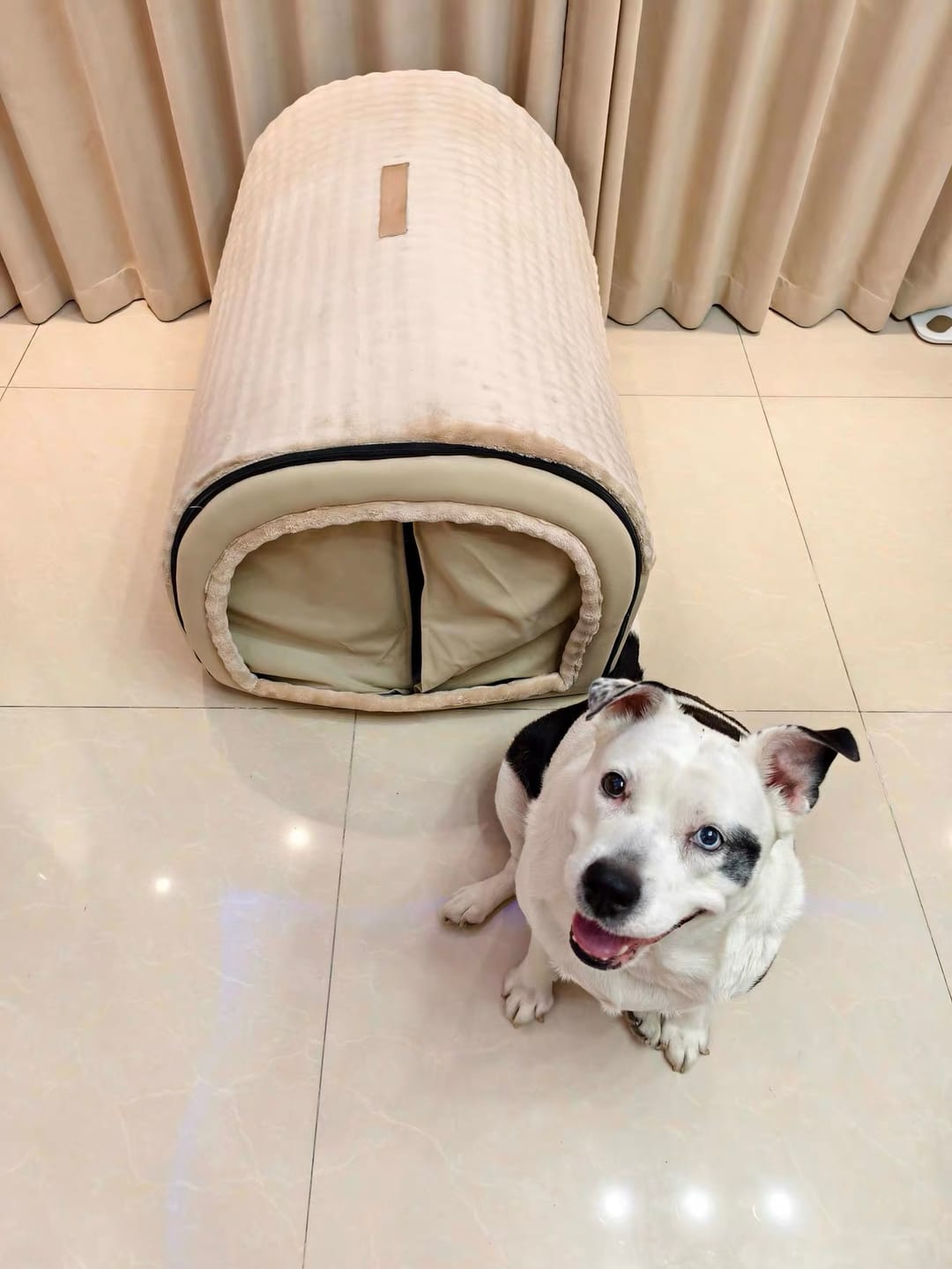 Customer photo review of The Cozy Cottage Pet Bed – A Snug Home for Your Furry Friend