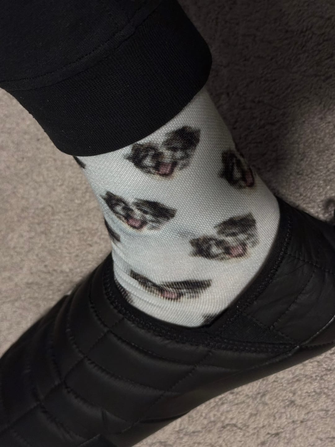 Customer photo review of Original Pet Pop Art Socks