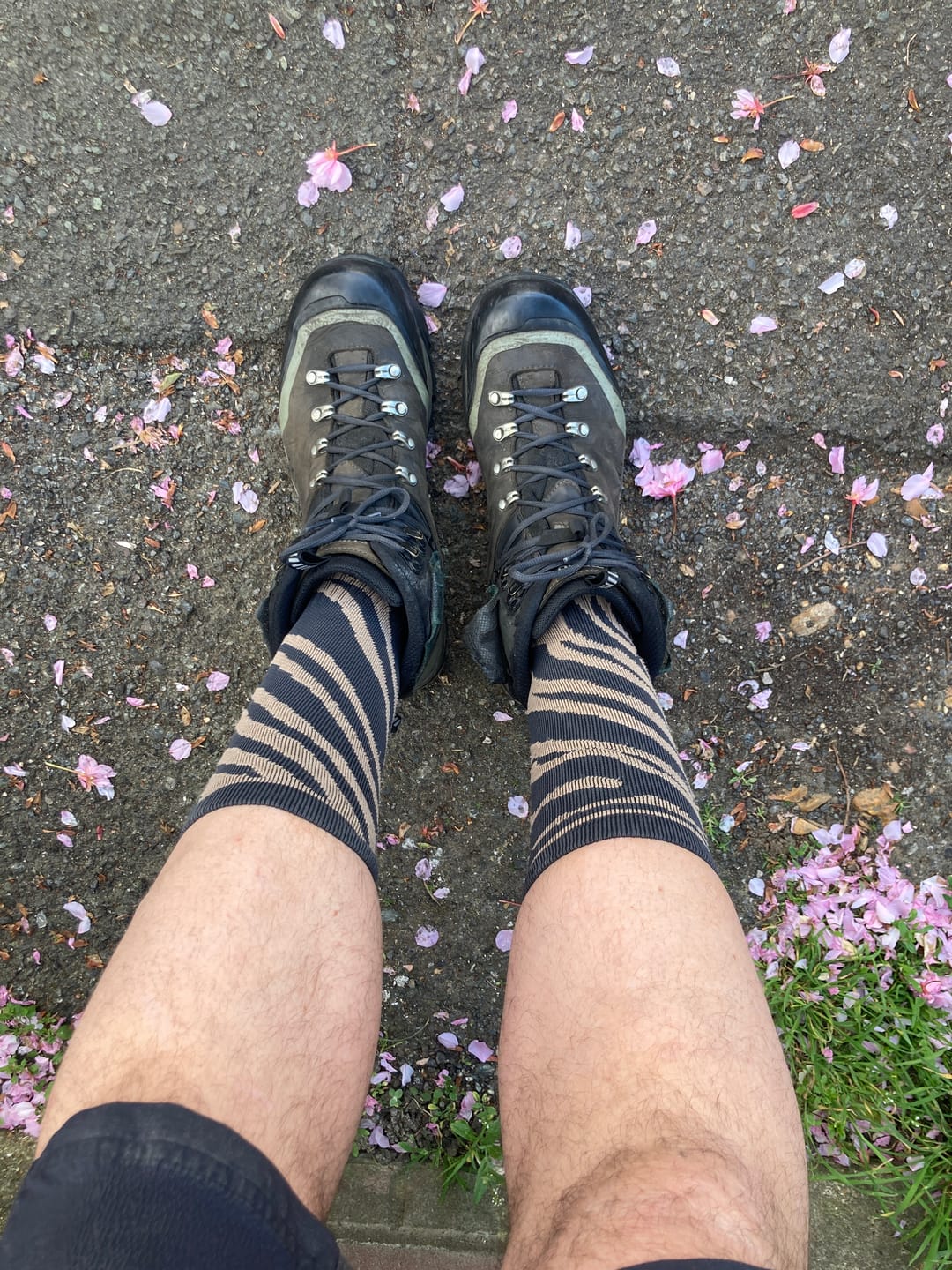 Customer photo review of Lucky Dip | Compression Socks