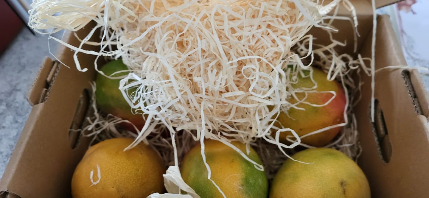 Customer photo review of Mango Haden Bio baumgereift Sonderaktion %