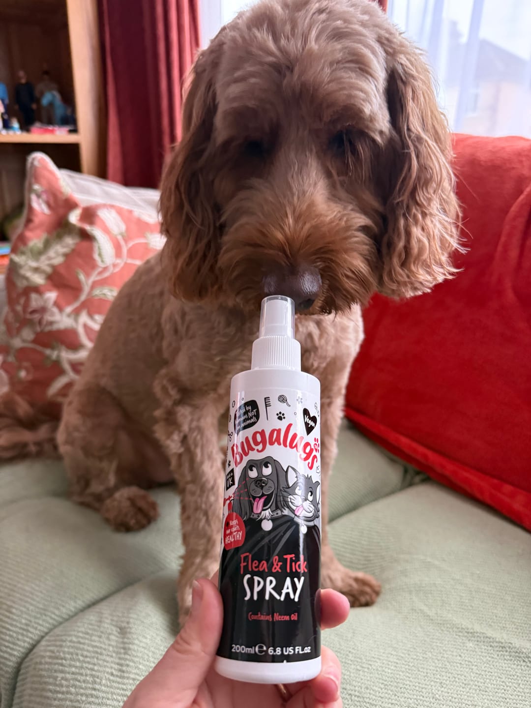 Customer photo review of Flea & Tick Spray with Neem Oil for Dogs & Cats